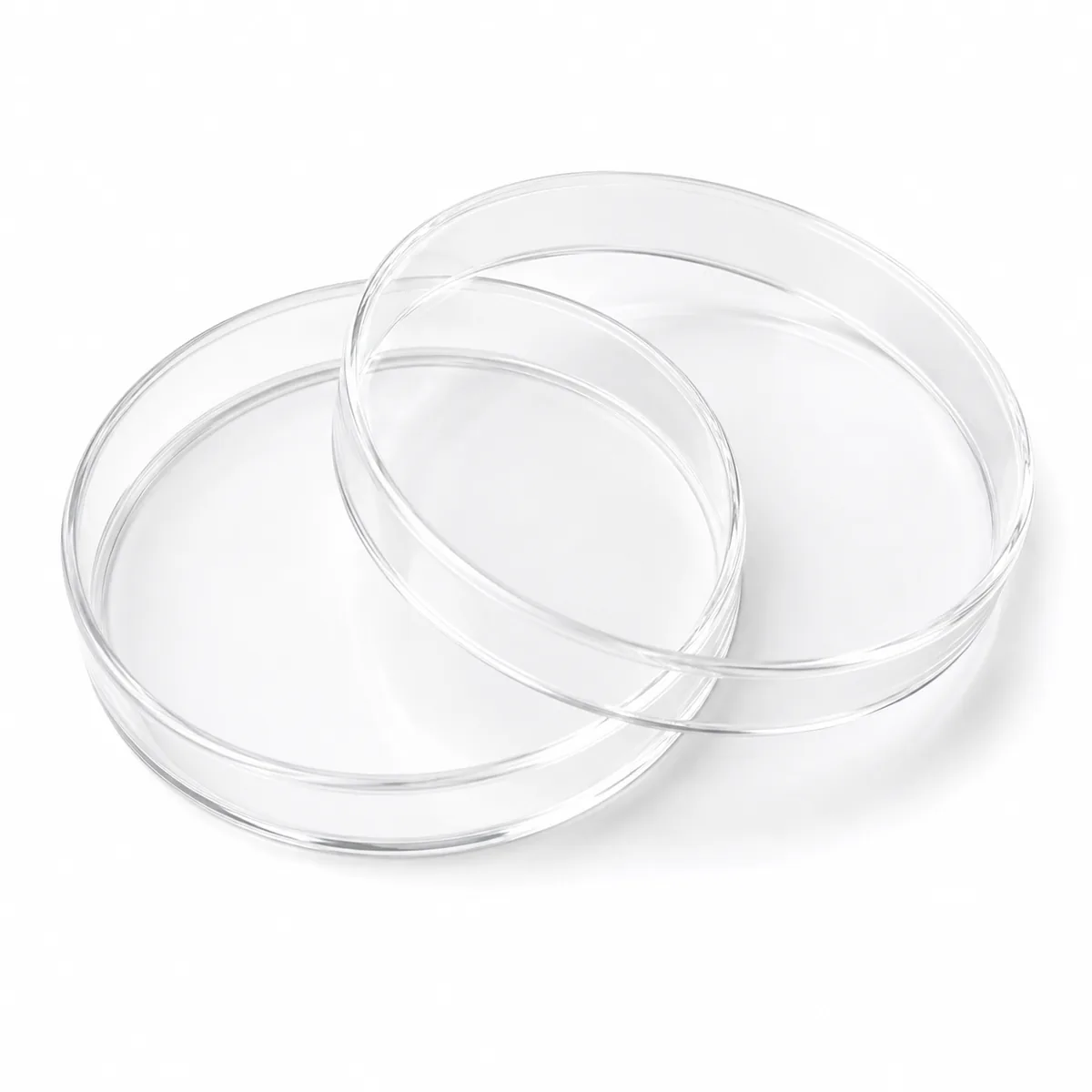 Quartz petri dishes