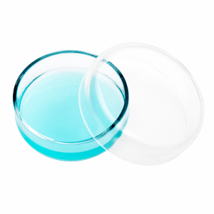 (MQQPD005) Fused Quartz Petri Dish with Lid, Custom Sizes, 1 Piece